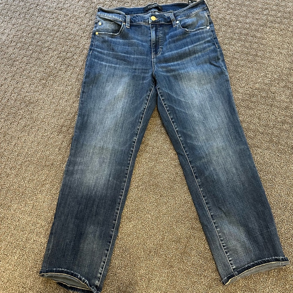 Liverpool Kennedy Straight Leg Jeans